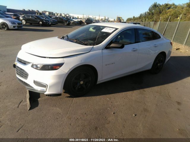 Photo 1 VIN: 1G1ZB5ST0HF137351 - CHEVROLET MALIBU 