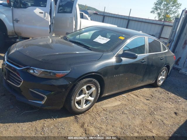 Photo 1 VIN: 1G1ZB5ST0HF143926 - CHEVROLET MALIBU 