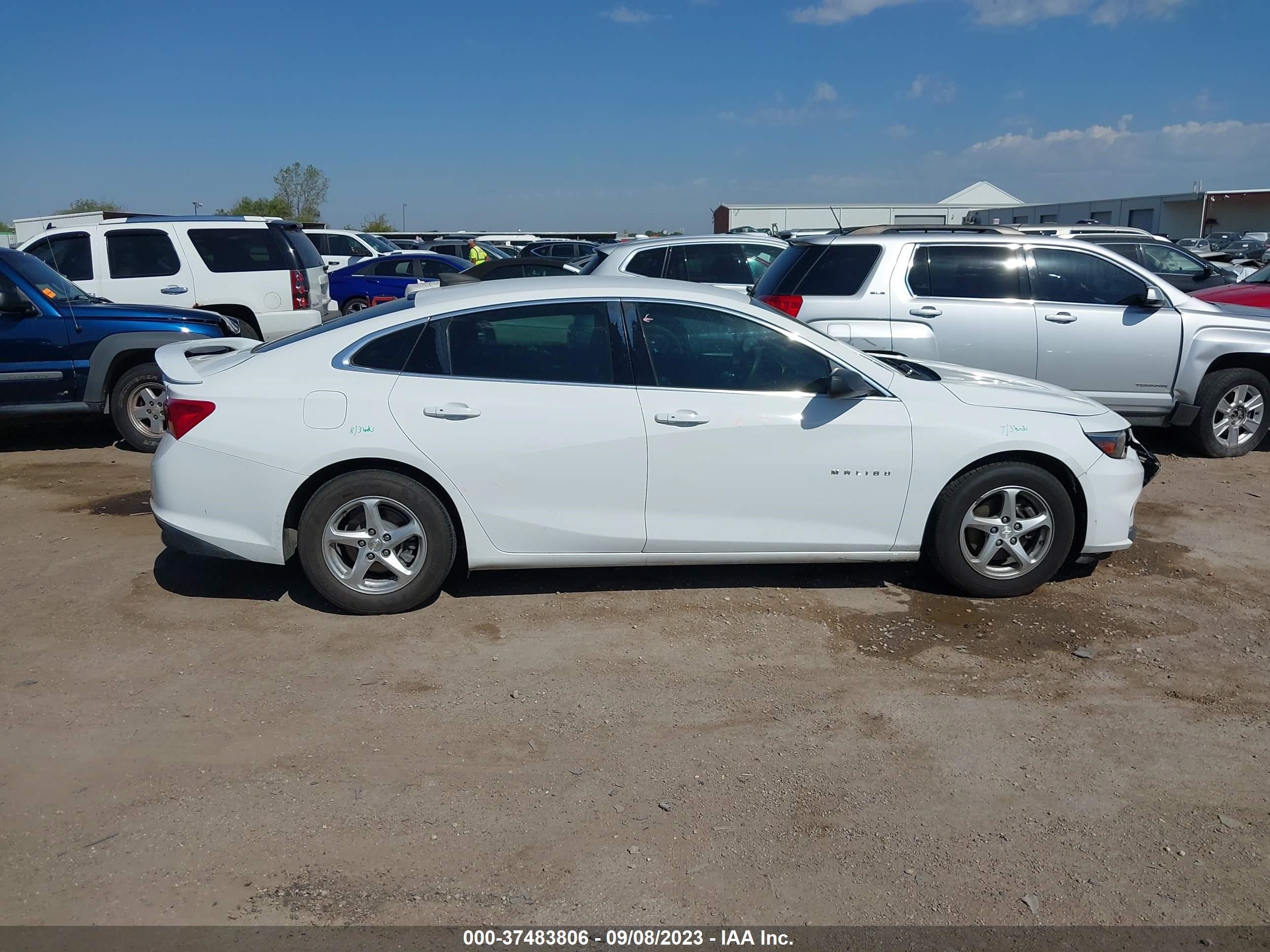 Photo 12 VIN: 1G1ZB5ST0HF167000 - CHEVROLET MALIBU 