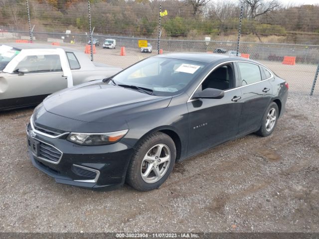 Photo 1 VIN: 1G1ZB5ST1HF135737 - CHEVROLET MALIBU 