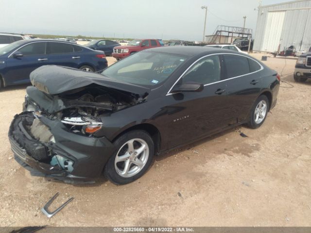 Photo 1 VIN: 1G1ZB5ST1HF177342 - CHEVROLET MALIBU 