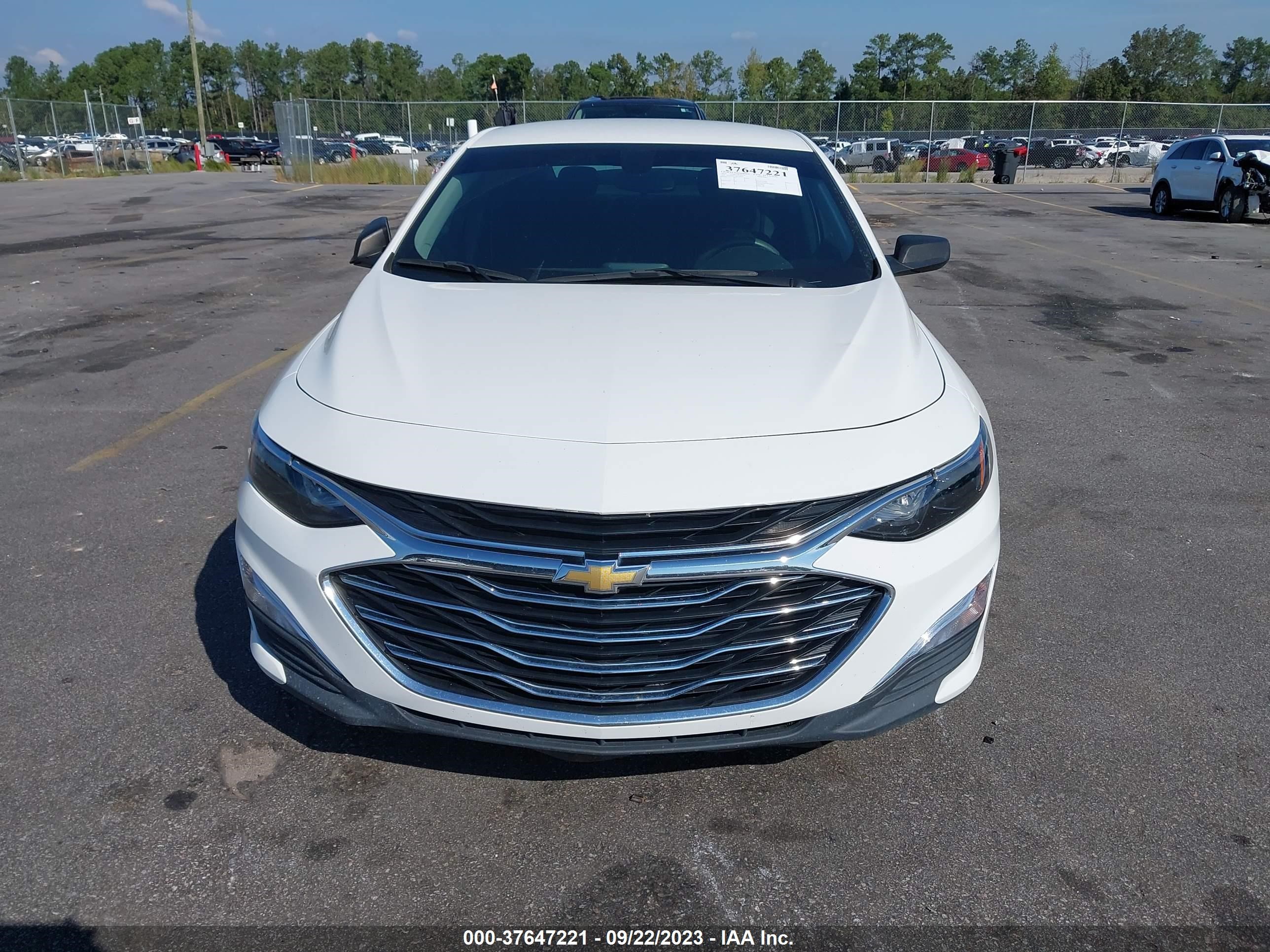 Photo 11 VIN: 1G1ZB5ST1KF224831 - CHEVROLET MALIBU 