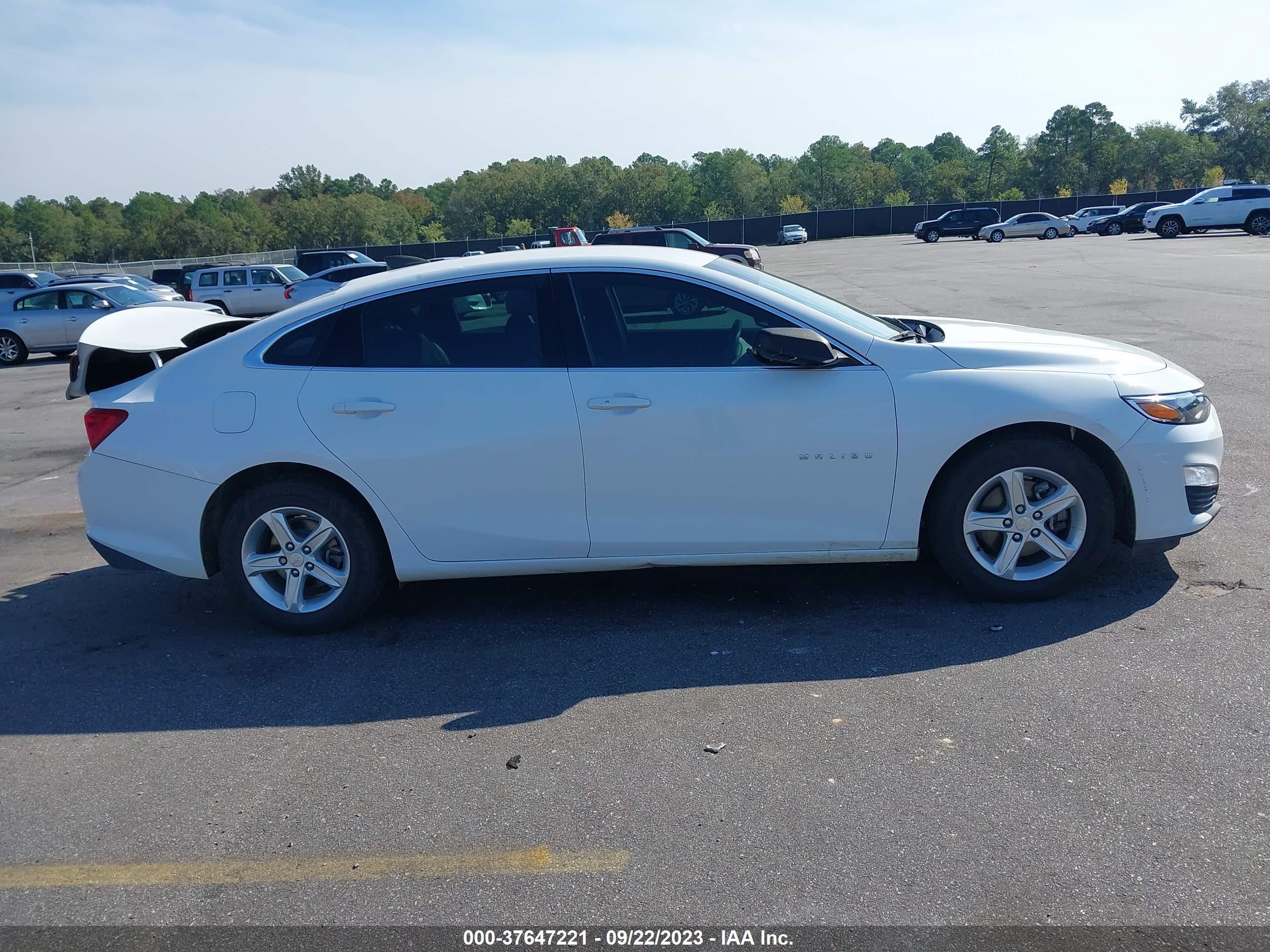 Photo 12 VIN: 1G1ZB5ST1KF224831 - CHEVROLET MALIBU 