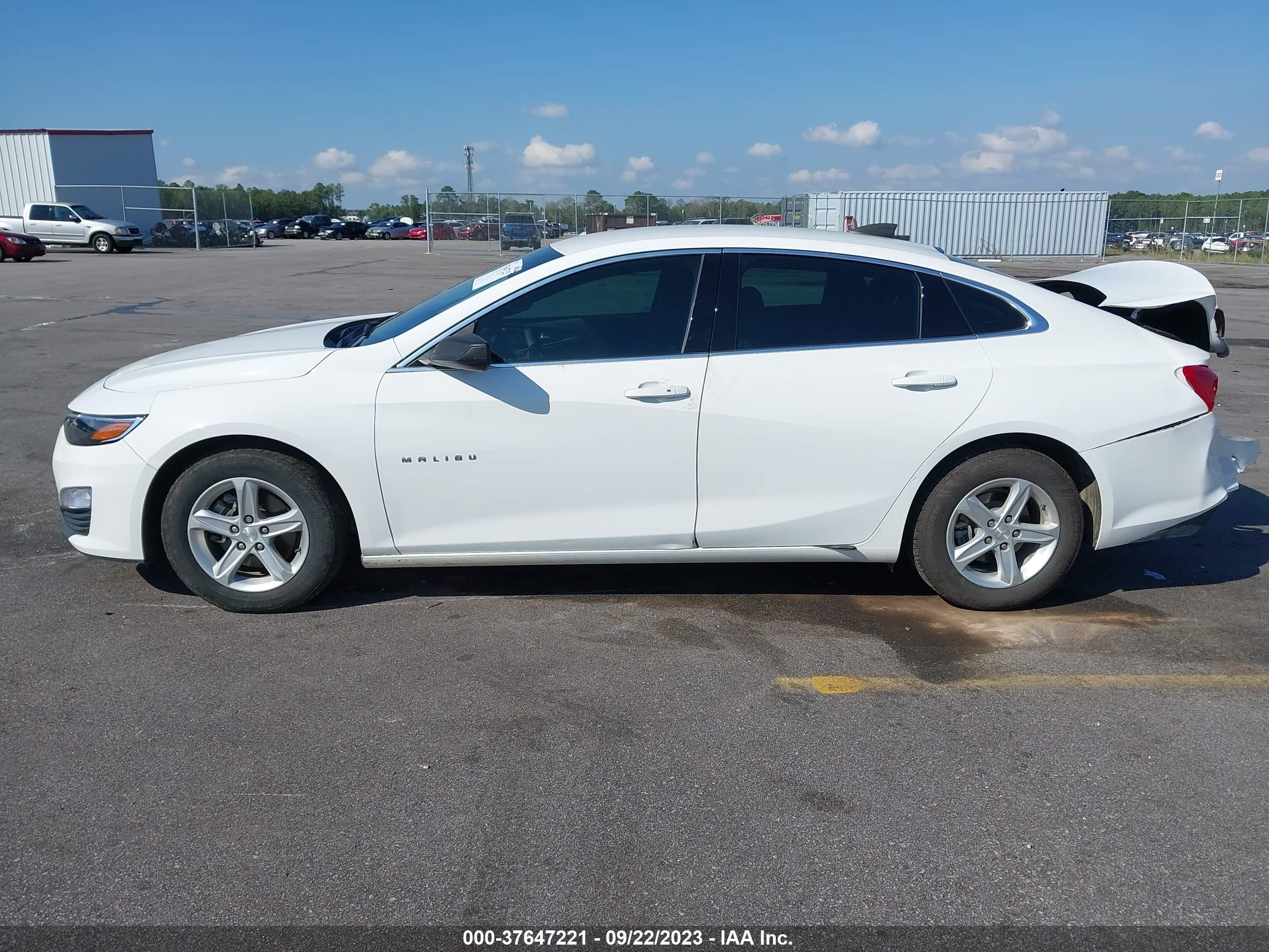 Photo 13 VIN: 1G1ZB5ST1KF224831 - CHEVROLET MALIBU 