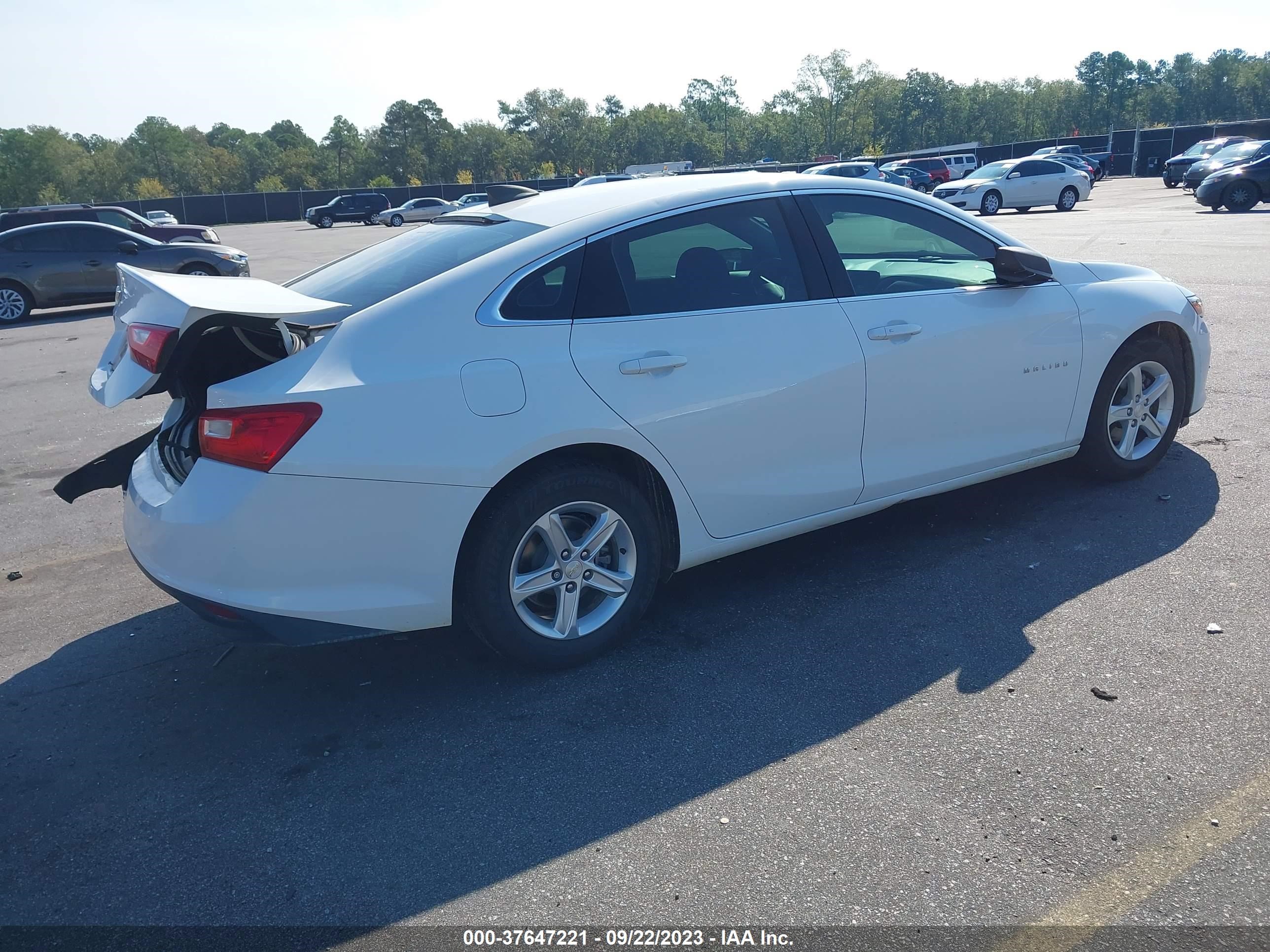 Photo 3 VIN: 1G1ZB5ST1KF224831 - CHEVROLET MALIBU 