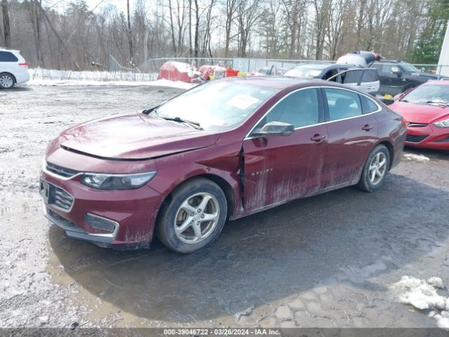 Photo 1 VIN: 1G1ZB5ST2GF243010 - CHEVROLET MALIBU 