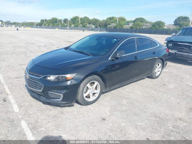 Photo 1 VIN: 1G1ZB5ST2HF231246 - CHEVROLET MALIBU 