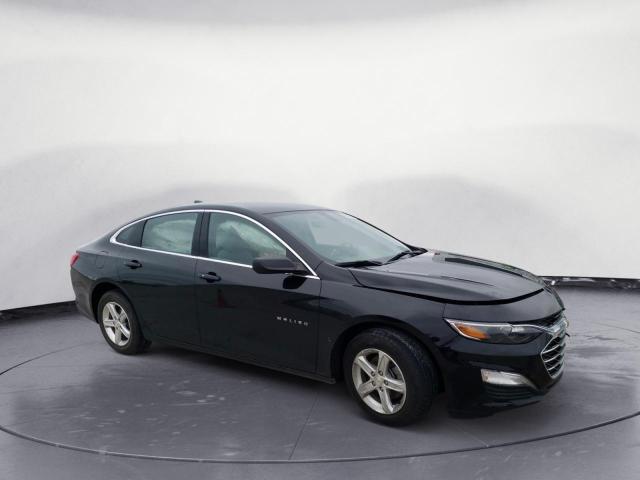 Photo 3 VIN: 1G1ZB5ST2MF002687 - CHEVROLET MALIBU LS 