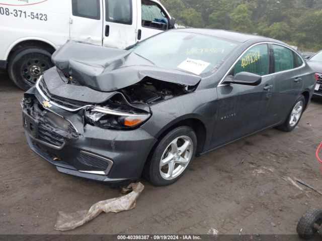 Photo 1 VIN: 1G1ZB5ST3HF227206 - CHEVROLET MALIBU 