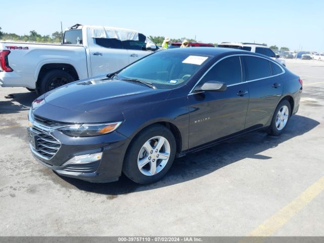 Photo 1 VIN: 1G1ZB5ST3PF244294 - CHEVROLET MALIBU 