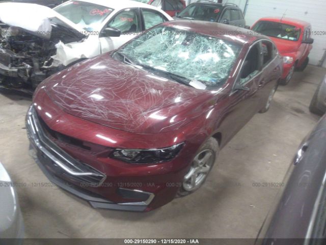 Photo 1 VIN: 1G1ZB5ST4GF263565 - CHEVROLET MALIBU 