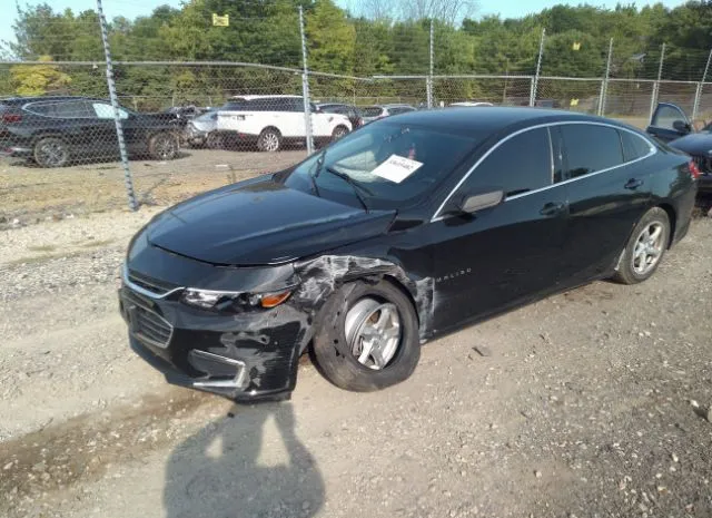 Photo 1 VIN: 1G1ZB5ST4HF146036 - CHEVROLET MALIBU 