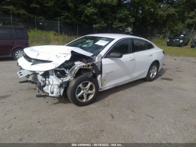 Photo 1 VIN: 1G1ZB5ST4HF216795 - CHEVROLET MALIBU 