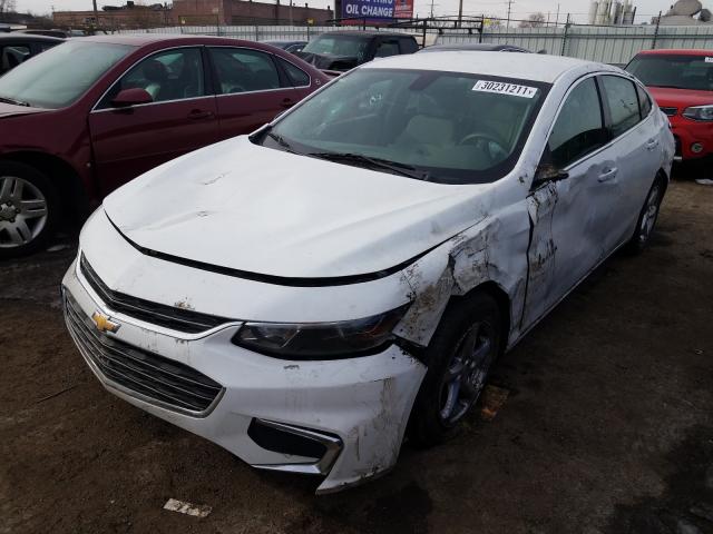 Photo 1 VIN: 1G1ZB5ST5GF170568 - CHEVROLET MALIBU L 