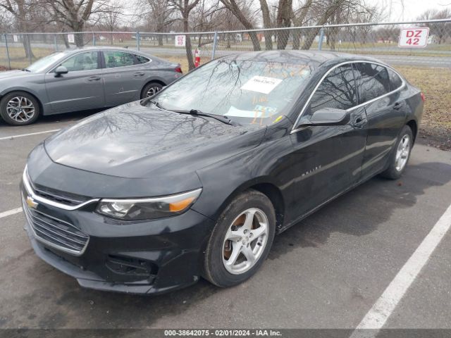 Photo 5 VIN: 1G1ZB5ST5GF263607 - CHEVROLET MALIBU 