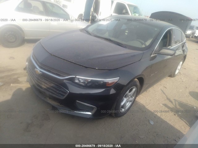 Photo 1 VIN: 1G1ZB5ST5HF165744 - CHEVROLET MALIBU 