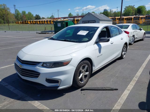 Photo 1 VIN: 1G1ZB5ST5HF243942 - CHEVROLET MALIBU 