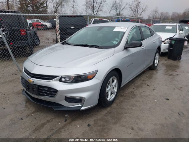 Photo 1 VIN: 1G1ZB5ST5JF203303 - CHEVROLET MALIBU 