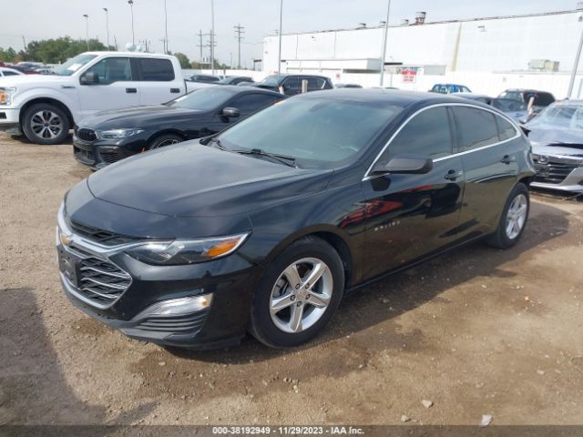 Photo 1 VIN: 1G1ZB5ST5KF206008 - CHEVROLET MALIBU 