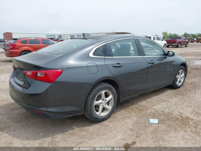 Photo 3 VIN: 1G1ZB5ST6HF107206 - CHEVROLET MALIBU 