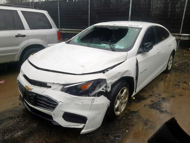 Photo 1 VIN: 1G1ZB5ST6JF144942 - CHEVROLET MALIBU LS 