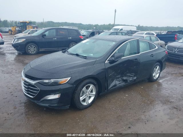 Photo 1 VIN: 1G1ZB5ST6KF124840 - CHEVROLET MALIBU 