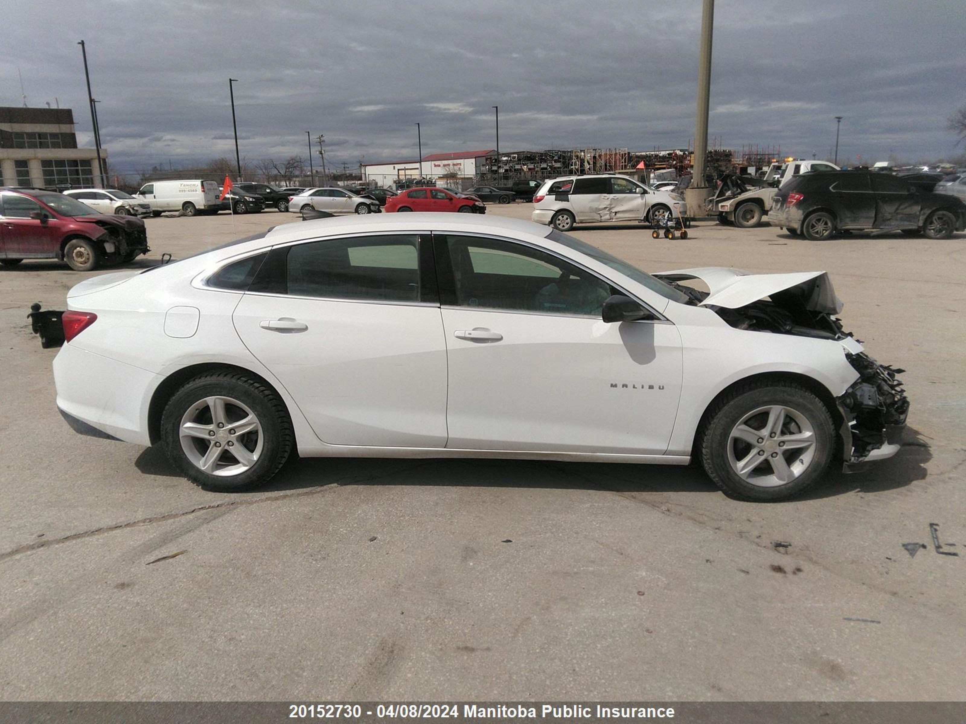 Photo 12 VIN: 1G1ZB5ST6KF227188 - CHEVROLET MALIBU 