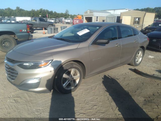 Photo 1 VIN: 1G1ZB5ST6PF115448 - CHEVROLET MALIBU 