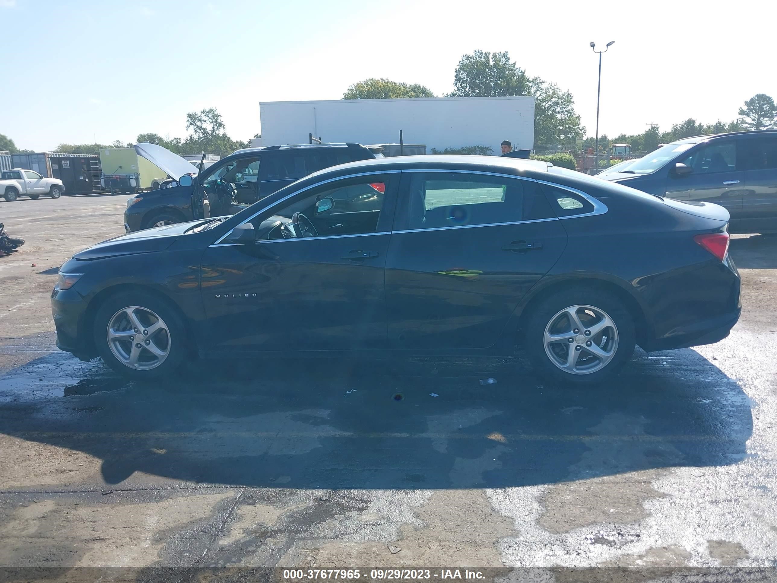 Photo 14 VIN: 1G1ZB5ST7GF356726 - CHEVROLET MALIBU 