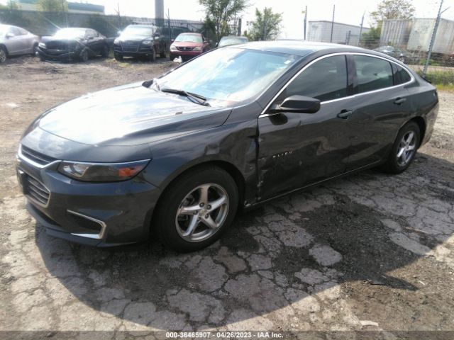 Photo 1 VIN: 1G1ZB5ST7HF155247 - CHEVROLET MALIBU 