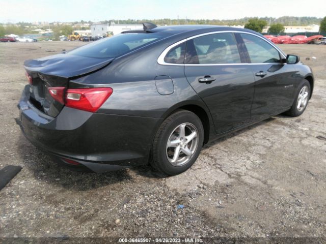 Photo 3 VIN: 1G1ZB5ST7HF155247 - CHEVROLET MALIBU 