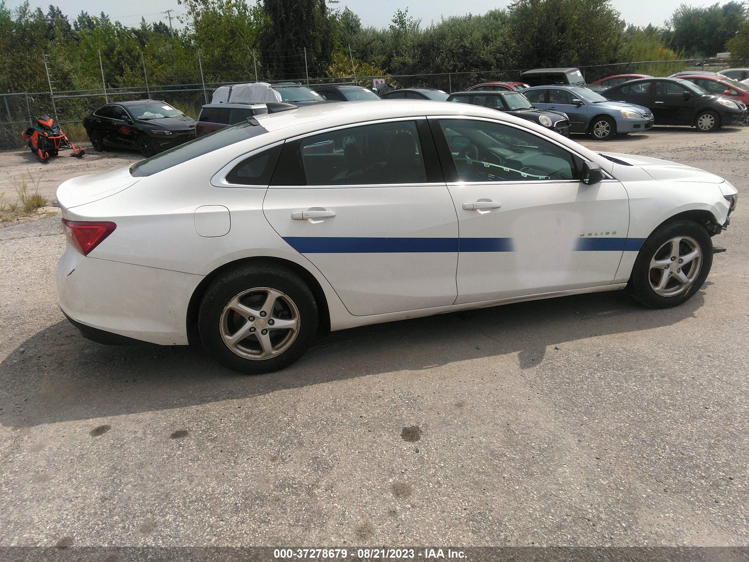 Photo 12 VIN: 1G1ZB5ST7HF205466 - CHEVROLET MALIBU 