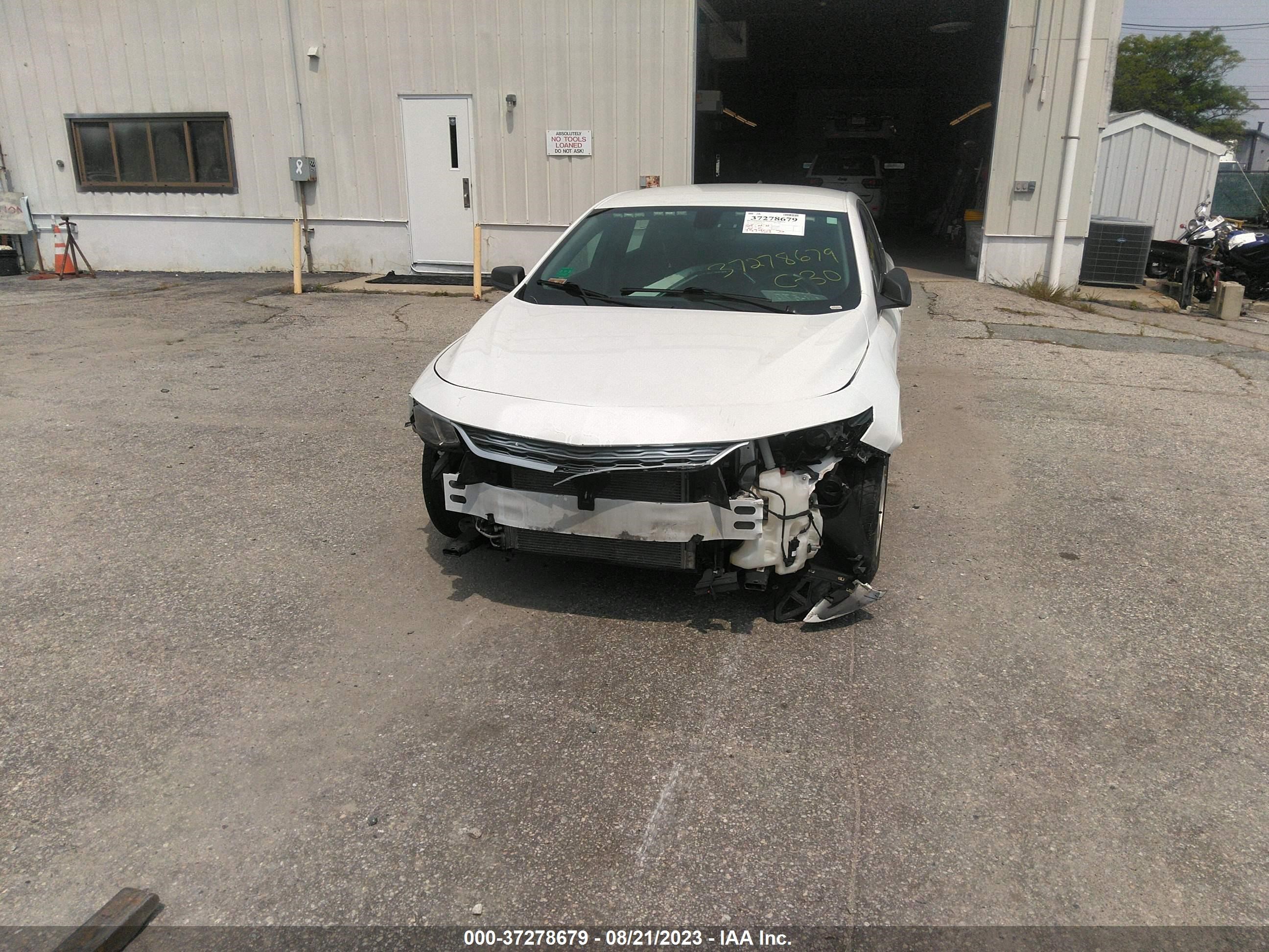 Photo 5 VIN: 1G1ZB5ST7HF205466 - CHEVROLET MALIBU 