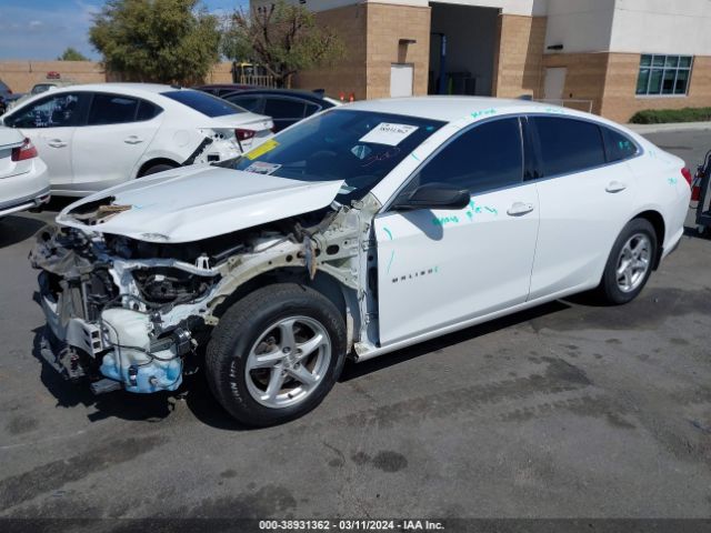 Photo 1 VIN: 1G1ZB5ST7JF113425 - CHEVROLET MALIBU 