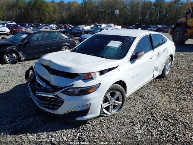 Photo 1 VIN: 1G1ZB5ST7KF159158 - CHEVROLET MALIBU 