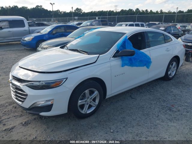 Photo 1 VIN: 1G1ZB5ST7KF178292 - CHEVROLET MALIBU 