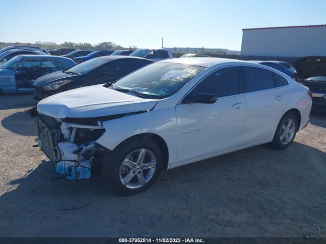 Photo 1 VIN: 1G1ZB5ST7MF041226 - CHEVROLET MALIBU 