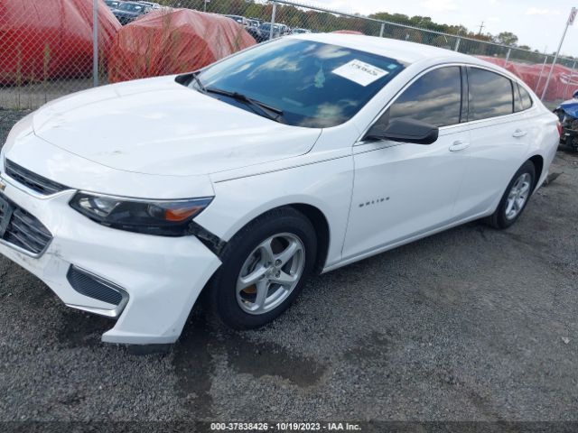 Photo 1 VIN: 1G1ZB5ST8HF137114 - CHEVROLET MALIBU 