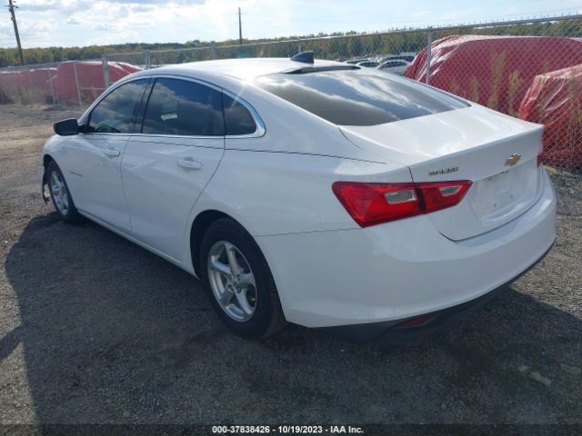 Photo 2 VIN: 1G1ZB5ST8HF137114 - CHEVROLET MALIBU 