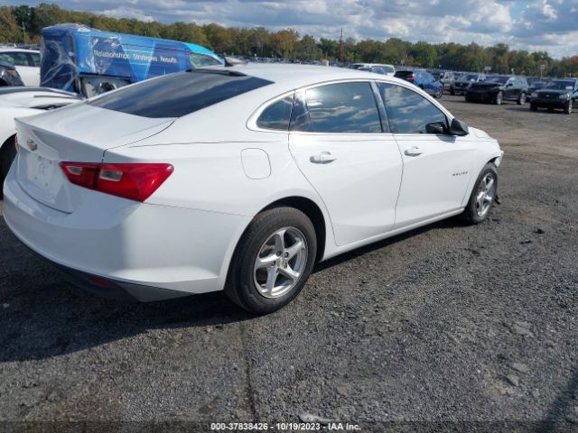 Photo 3 VIN: 1G1ZB5ST8HF137114 - CHEVROLET MALIBU 