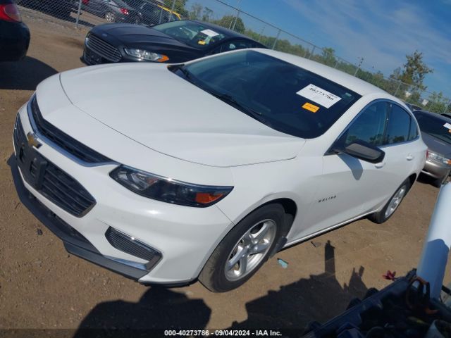 Photo 1 VIN: 1G1ZB5ST8HF173109 - CHEVROLET MALIBU 