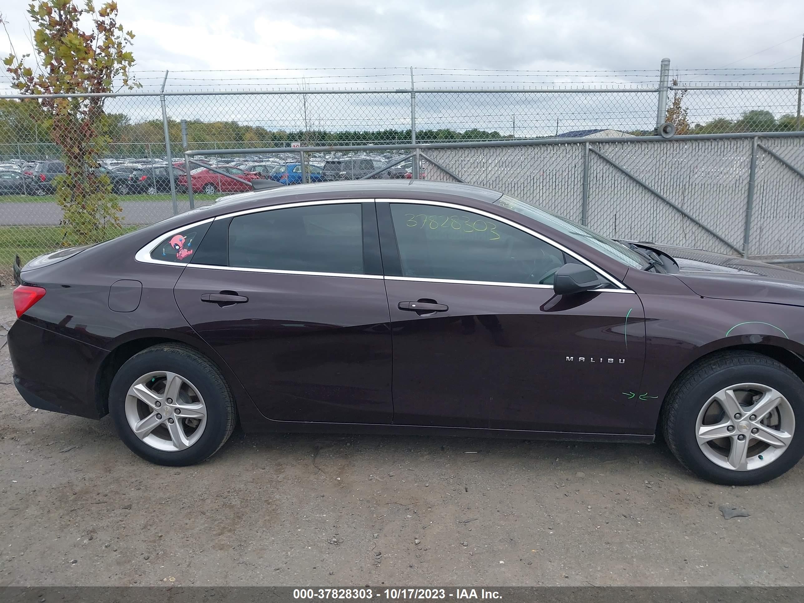 Photo 12 VIN: 1G1ZB5ST8LF075917 - CHEVROLET MALIBU 