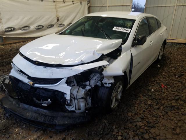 Photo 1 VIN: 1G1ZB5ST9HF257584 - CHEVROLET MALIBU LS 