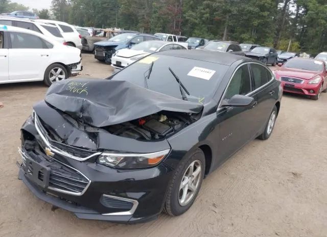 Photo 1 VIN: 1G1ZB5STXHF241717 - CHEVROLET MALIBU 