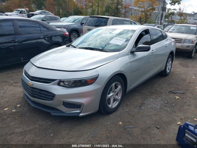 Photo 1 VIN: 1G1ZB5STXHF250885 - CHEVROLET MALIBU 