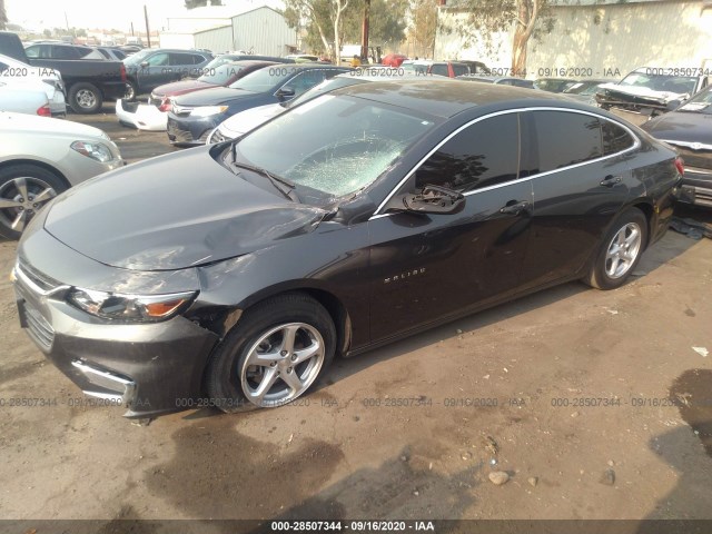 Photo 1 VIN: 1G1ZB5STXJF242629 - CHEVROLET MALIBU 