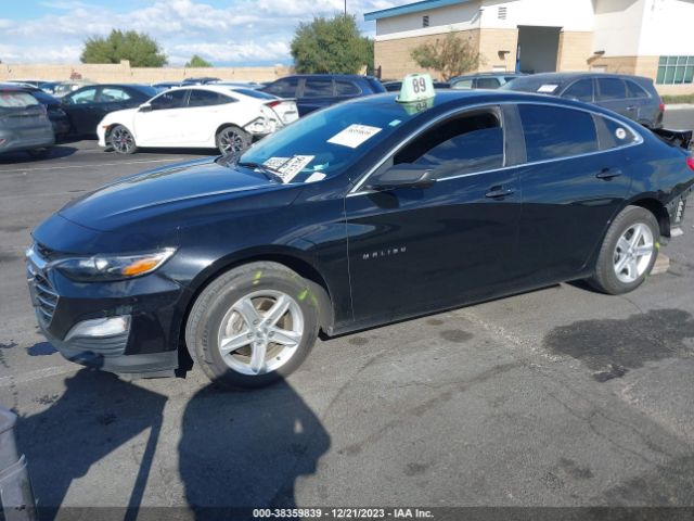 Photo 1 VIN: 1G1ZB5STXKF183583 - CHEVROLET MALIBU 