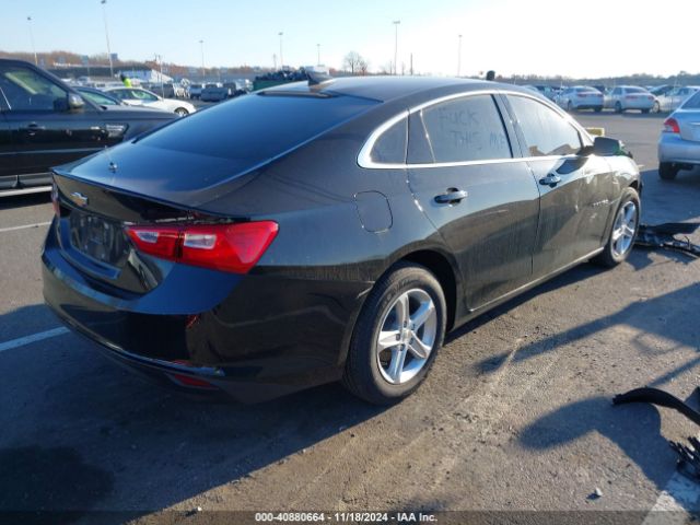 Photo 3 VIN: 1G1ZB5STXPF212538 - CHEVROLET MALIBU 