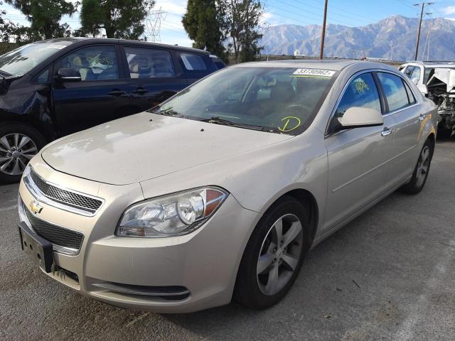 Photo 1 VIN: 1G1ZC5E01CF131338 - CHEVROLET MALIBU L 