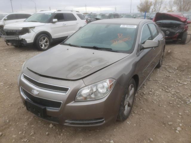 Photo 1 VIN: 1G1ZC5E01CF213005 - CHEVROLET MALIBU 1LT 